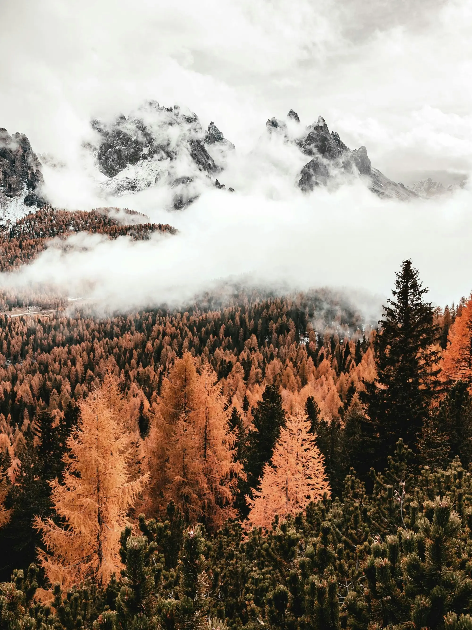 katie_verse의 밀러의 형, 누나, 동생,친구 되보기