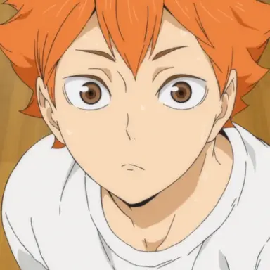 Profile image of 日向翔陽