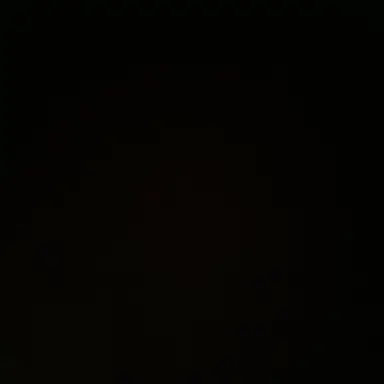 Profile image of 최립우