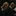 Fred & George