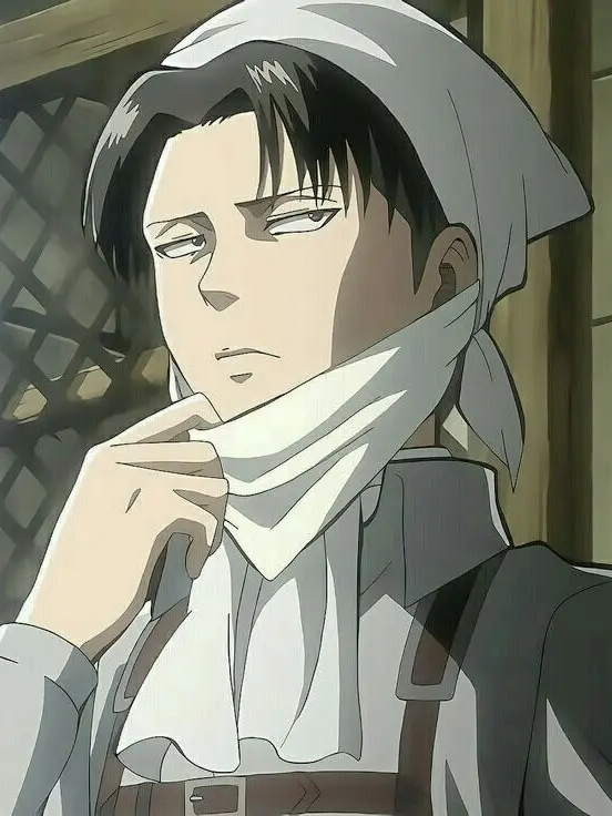 leear1004의 리바이 아커만