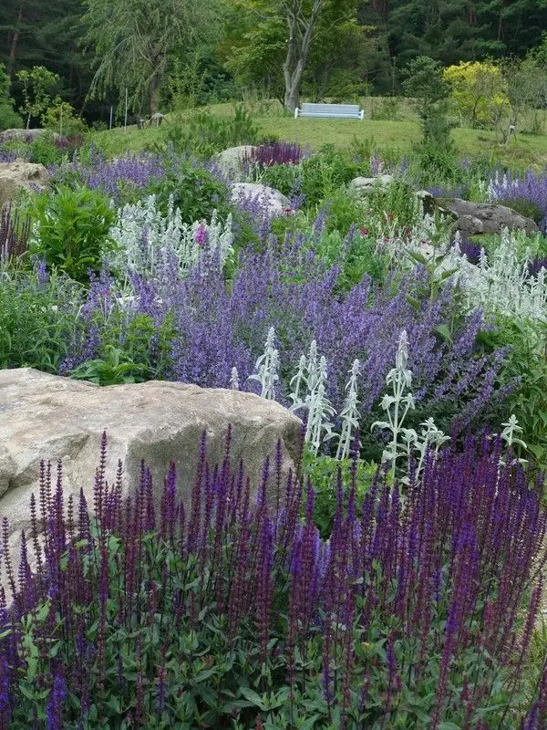 RIver_clear의 소꿉친구와 선배님의 삼각관계-🦖🐰