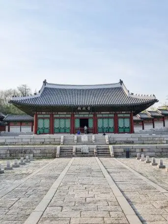 s_23의 폭군의 셰프