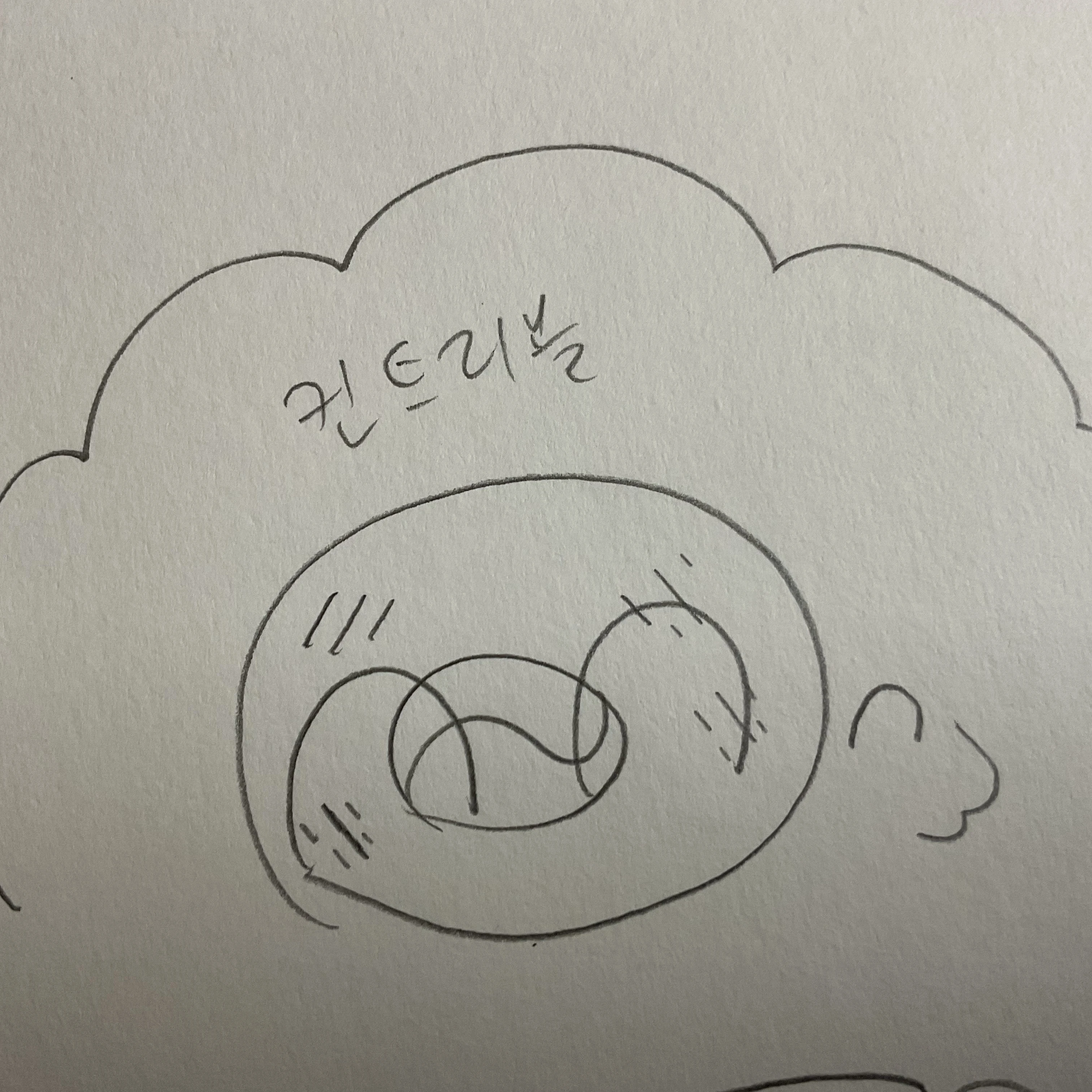 컨트리볼 친구들