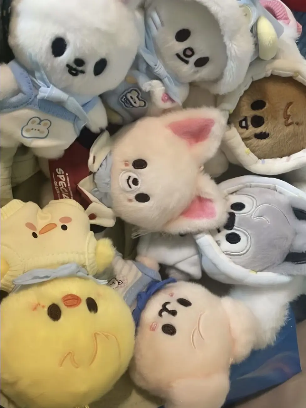 StrayKids.Stay0320의 スキズ『文化センター』👶🍼