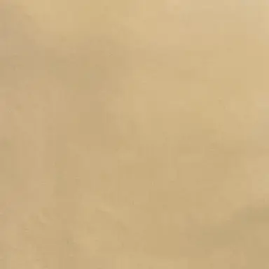 Profile image of 赤ちゃん達