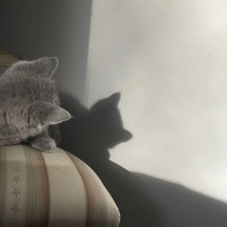 yu_0207o0의 好きなのに。