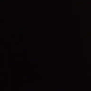 Profile image of 성한빈