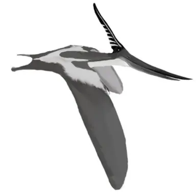 Profile image of 프테라노돈