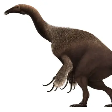 Profile image of 테리지노사우루스