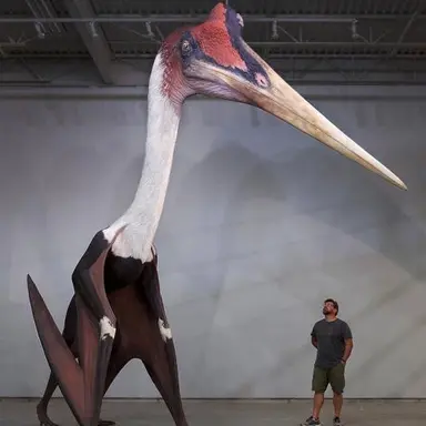 Profile image of 케찰코아틀루스