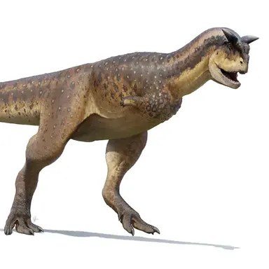 Profile image of 카르노타우루스