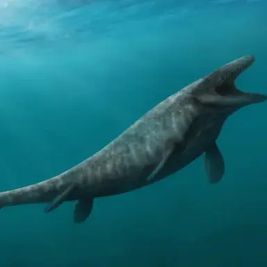 Profile image of 모사사우루스