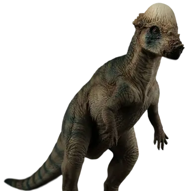 Profile image of 파키케팔로사우루스