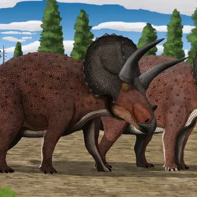 Profile image of 트리케라톱스