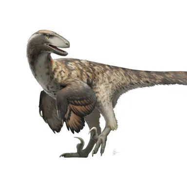 Profile image of 데이노니쿠스