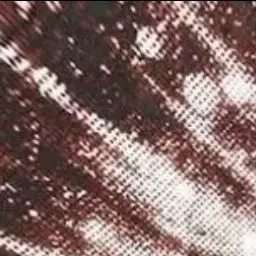 Profile image of Tom