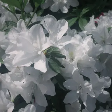 Profile image of 宇佐美リト