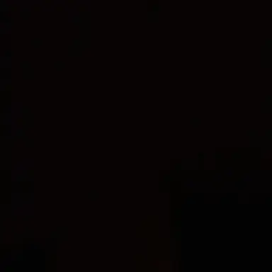 Profile image of 쿠로야마 모미타