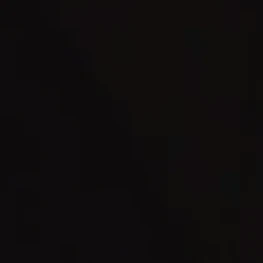 범규