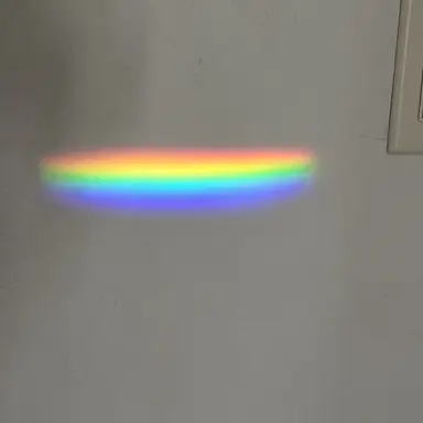 Profile image of The gang