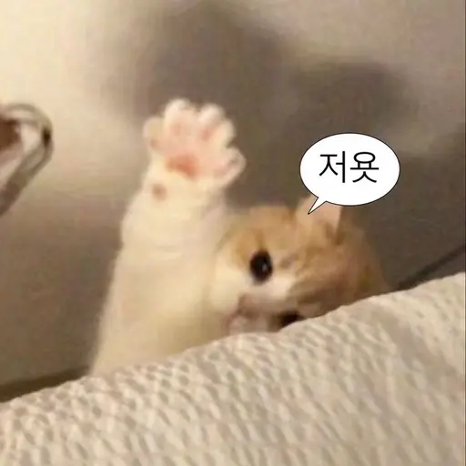 joker_j의 고민상담💬