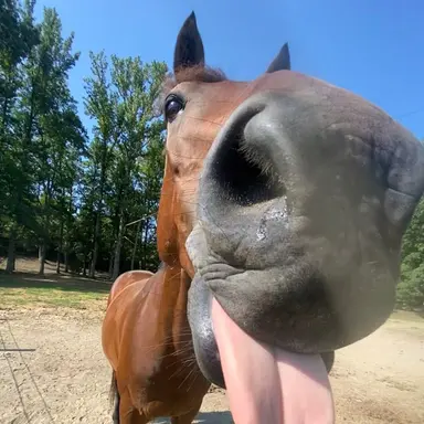 Profile image of 하성