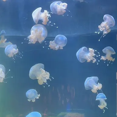 Profile image of 한지훈