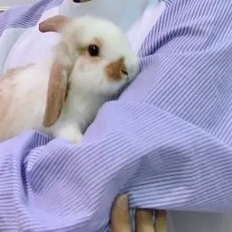 Profile image of 이민호