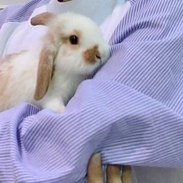 이민호