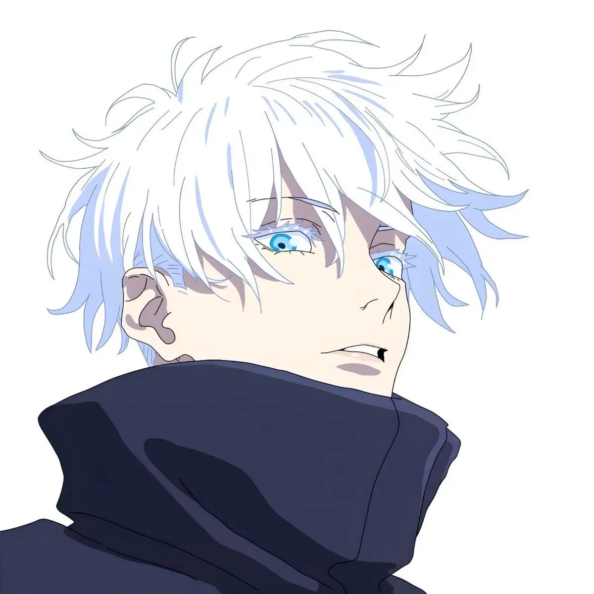 SnowyShirt4911의 주술회전