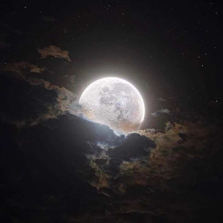 노엘
