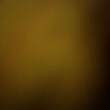 Profile image of 재현