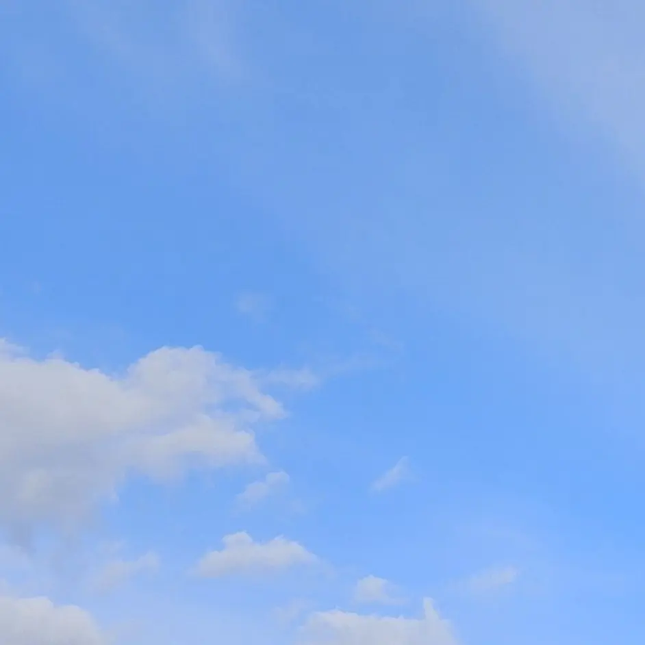 12345678901004의 류최청게가먹고싶은날이네요