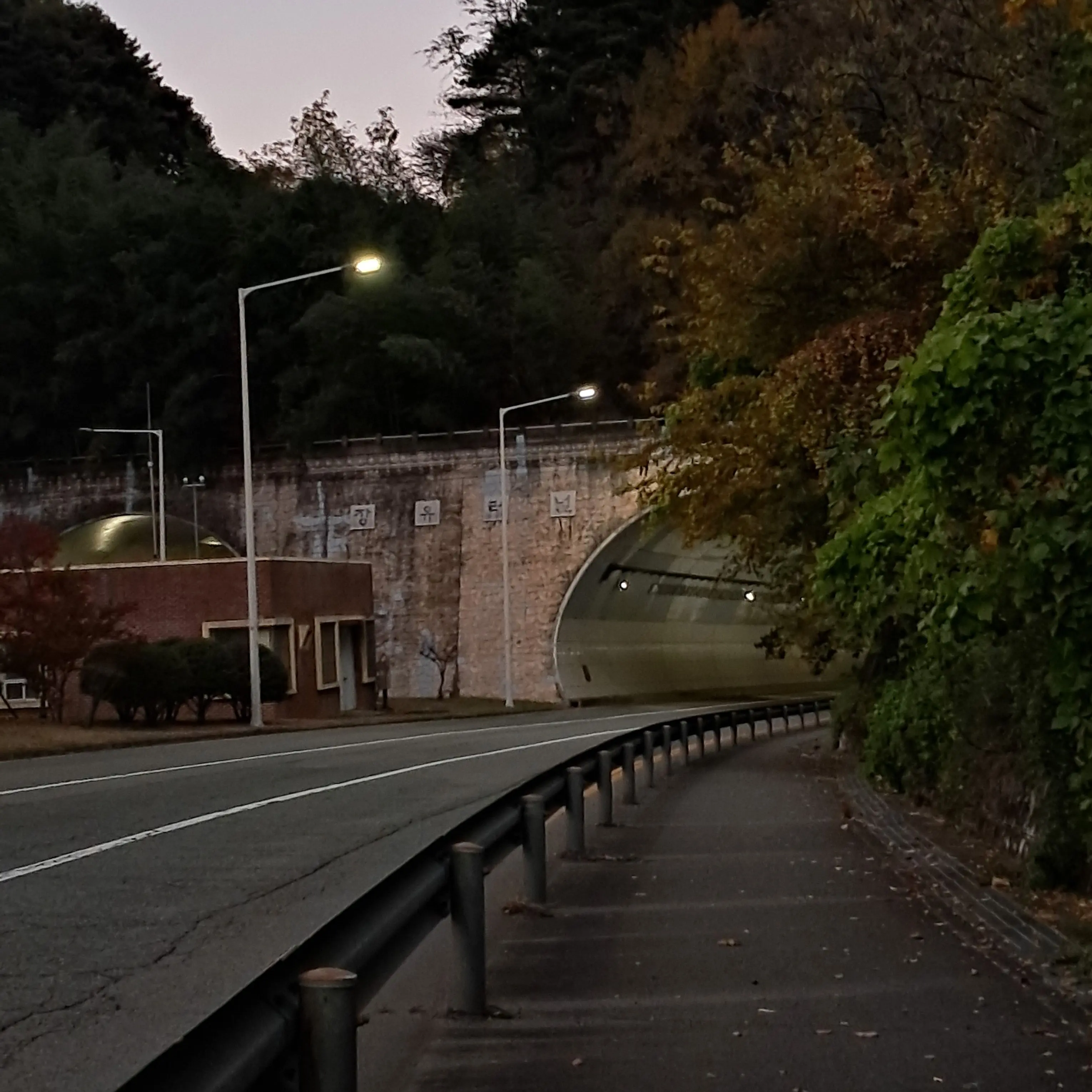 BiasedFlea4002의 카미