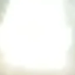 ビート
