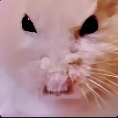 Profile image of 시노부