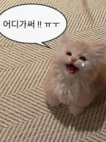 FrostyCode0585의 만우절~