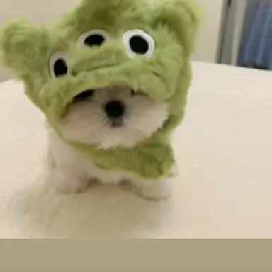 Profile image of 박지환