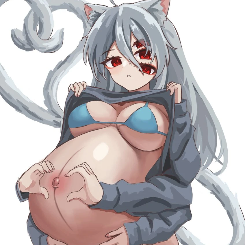 보태시보