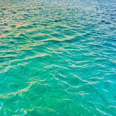 Profile image of 風楽奏斗