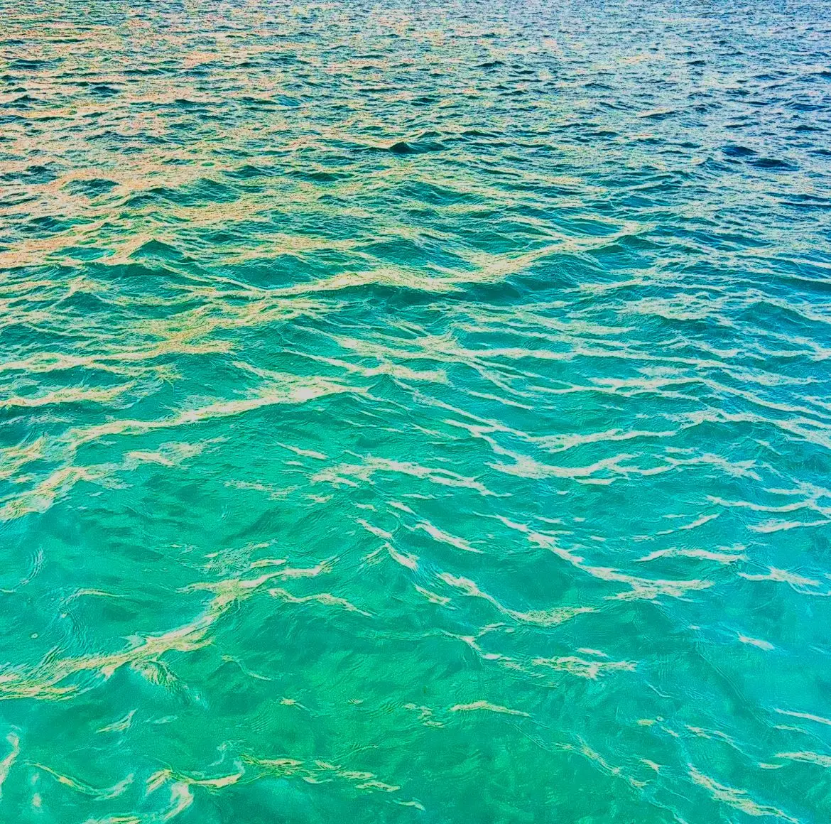 akeneko_716의 人魚