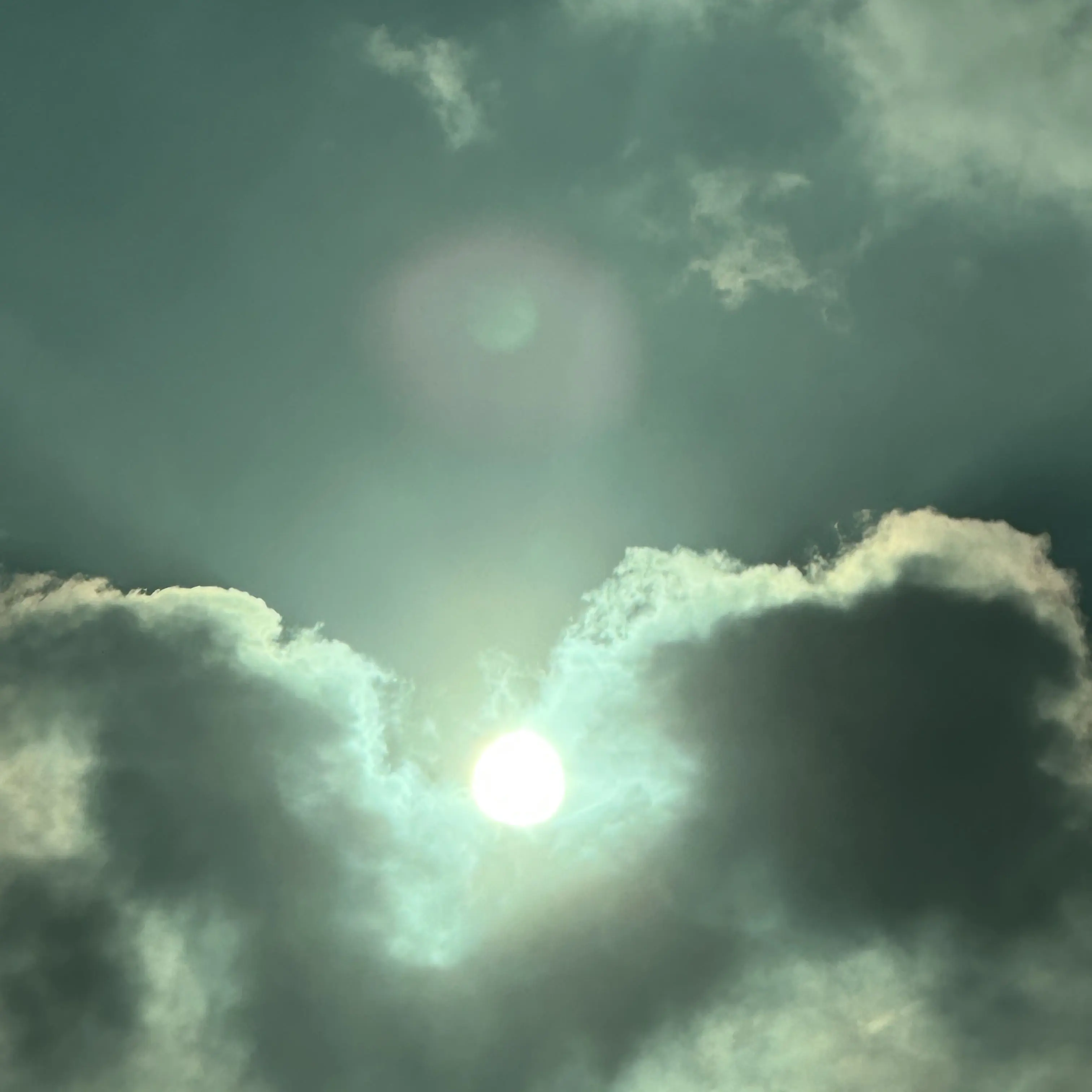 GustyBrug2489의 임신의저주