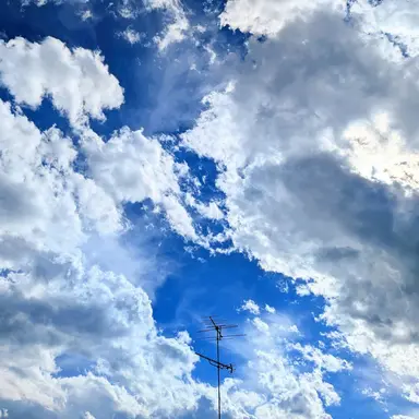 Profile image of 病み系