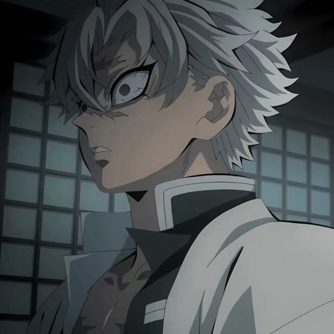 ninnn의 시나즈가와 사네미 [사네기유]