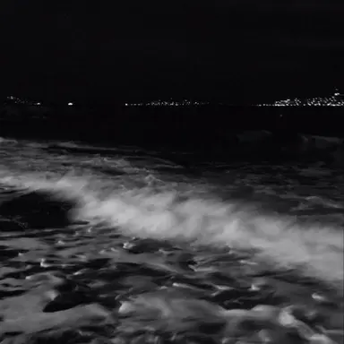 Profile image of 바다