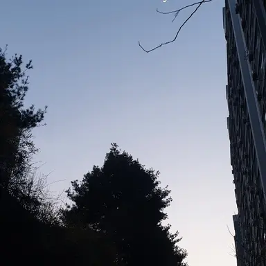 Profile image of 알렉스 그리프