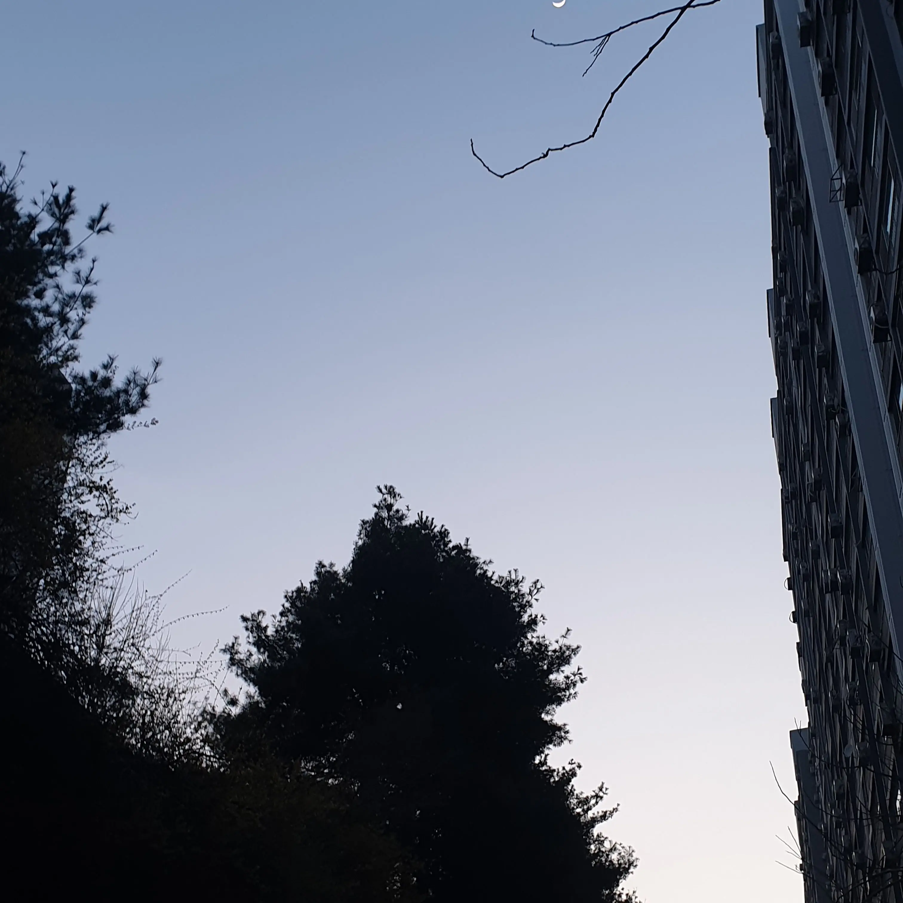 SimpleTank5144의 알렉스 그리프