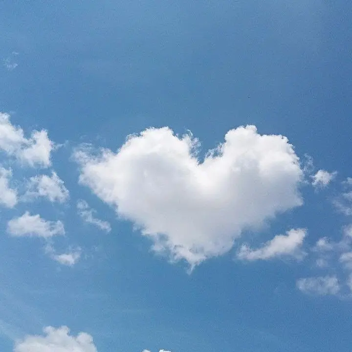 Saeun의 버릇없는 강아지.