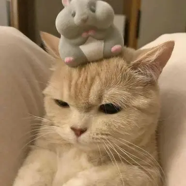 Profile image of 카시하바 야오